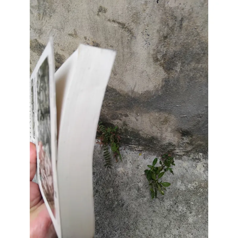 Phan Thanh Giản nhà ái quốc, người mở đường cho nước Việt Nam hiện đại  1030130