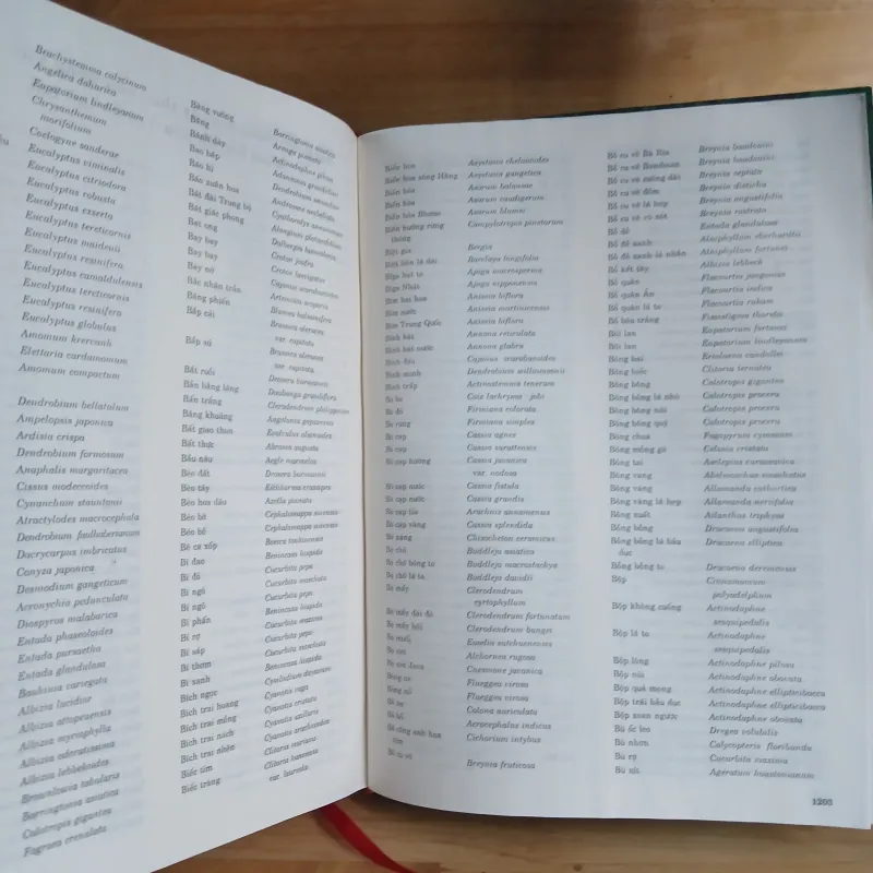 Từ Điển Thực Vật Thông Dụng (Tập 1) - Võ Văn Chi 976204