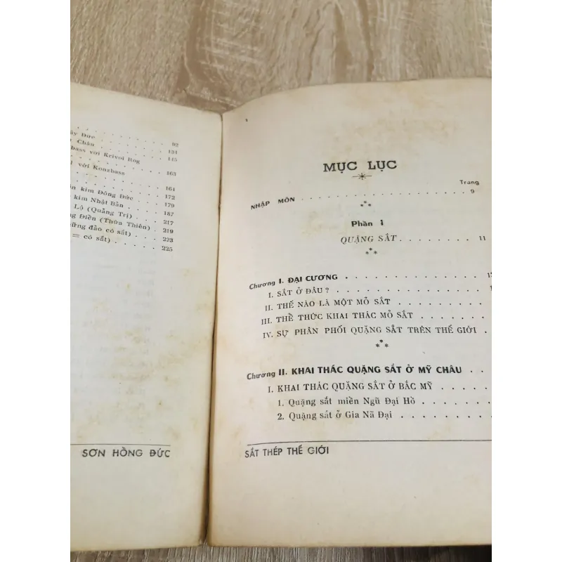 SẮT THÉP (THẾ GIỚI VÀ VIỆT NAM)  971718