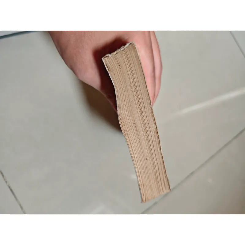 Đặng Tiểu Bình - Richard Evans 1001107