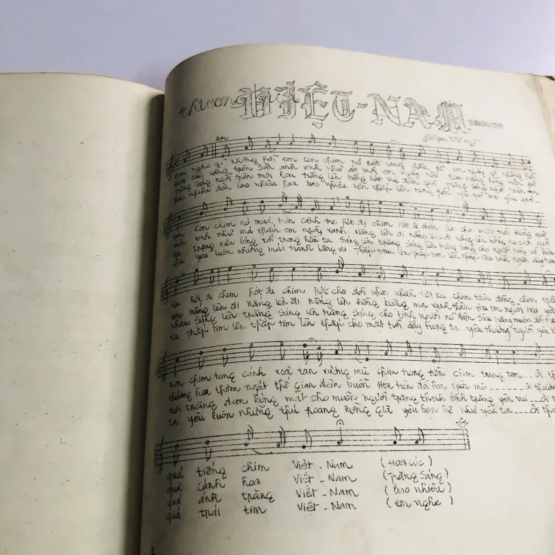 TUYỂN NHẠC HÁT CHO QUÊ HƯƠNG VIỆT NAM 795523