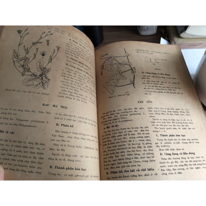 Cây thuốc và vị thuốc Việt Nam (Lương y Đỗ Tất Lợi, 1981) 508462