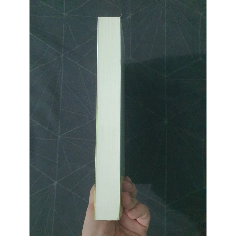 "Nơi nào phong cảnh như tranh" (seal, khổ to) - Lâm Địch Nhi 492808