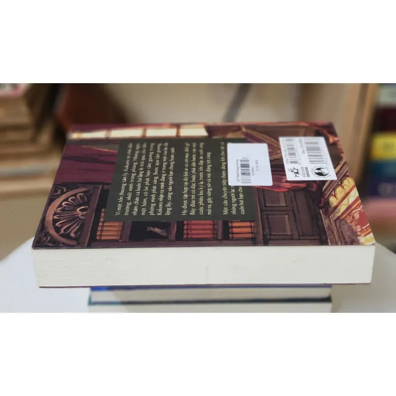 Tiểu thuyết Nhật: CÔ THÀNH TRONG GƯƠNG (Tsujimura Mizuki) 746752