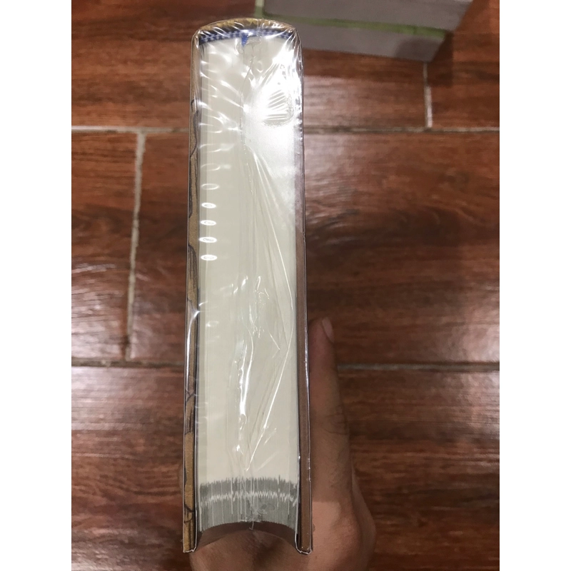 Việt Nam Sử Lược - Bản đặc biệt ( hở seal ở bụng sách) 538851
