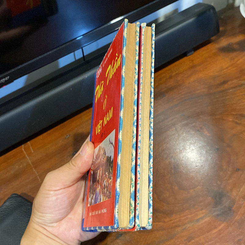 THỜ THẦN Ở VIỆT NAM, TẬP 1 + TẬP 2, ĐÓNG BÌA CỨNG XƯA, XUẤT BẢN NĂM 1996 501194