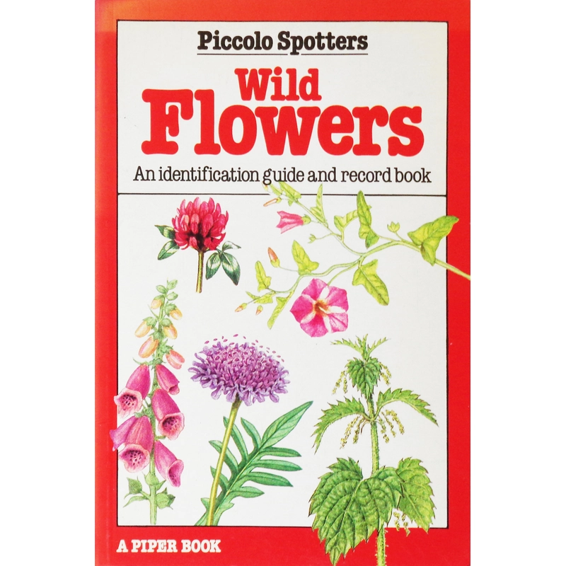 Wild Flowers 448667