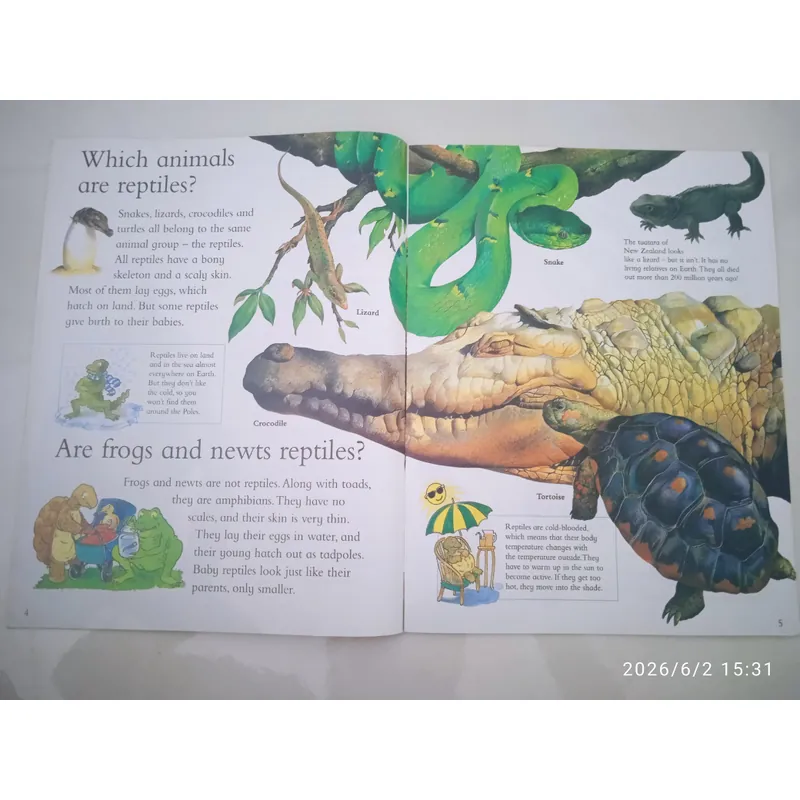 Sách tiếng Anh I Wonder Why Snakes Shed Their Skin - Mới 90% 1066699