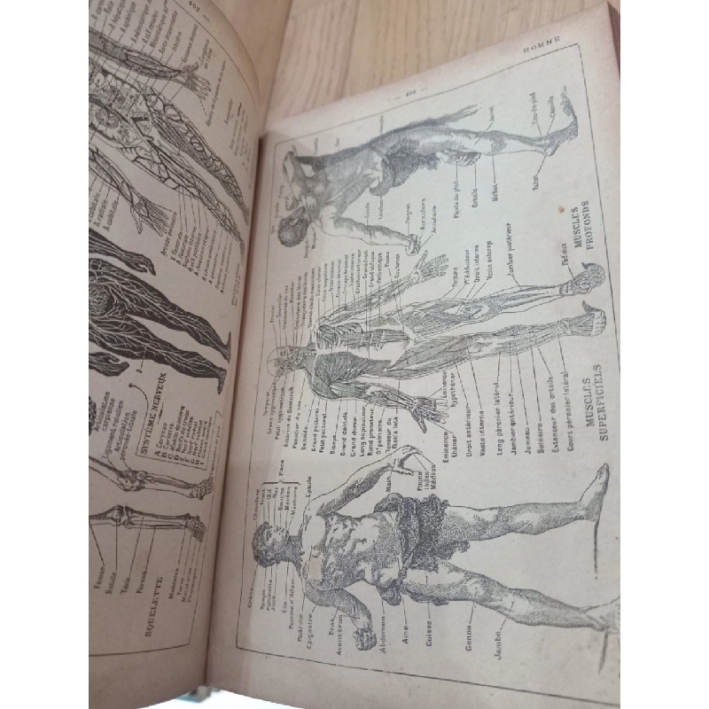 Nouveau petit larousse illustré 122487
