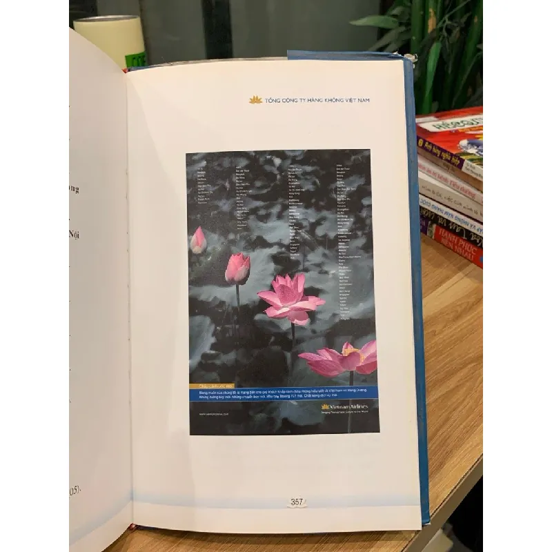 Vươn Cánh Bay Xa (Vietnam Airlines) – Tổng Công Ty Hàng Không Việt Nam 570810