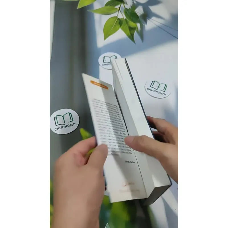 Tiền Kiếp - Có Hay Không? 705673