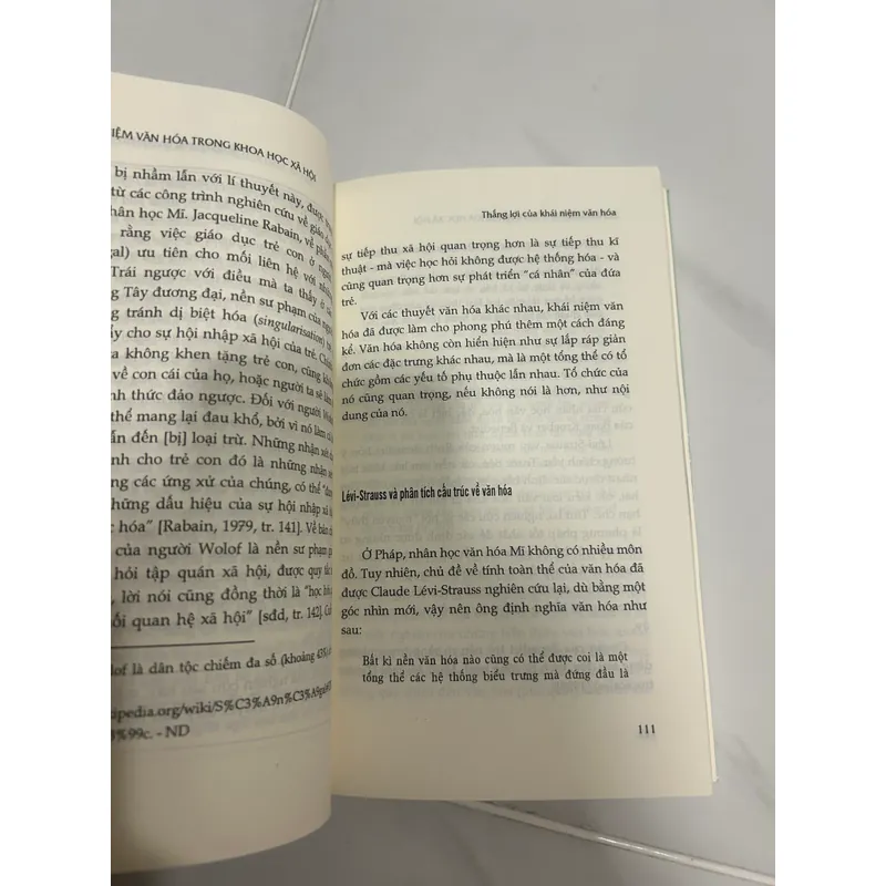 Khái niệm văn hoá trong khoa học xã hội  605259