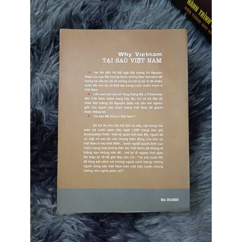 Why Việt Nam (Patti) 553086
