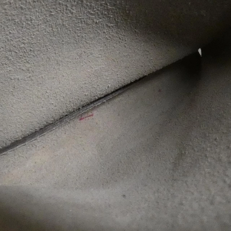 Túi đeo vai Maxi Zip Anya Hindmarch 610163