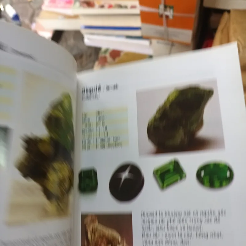 Sổ tay người chơi đá - Đỗ Đức Quang 926968