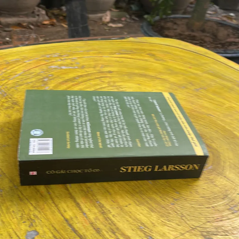 CÔ GÁI CHỌC TỔ ONG BẦU - STIEG LARSSON 736249