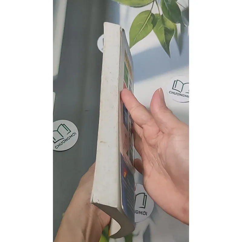 Thị trường hối đoái - GS TS Lê Văn Tư 688436