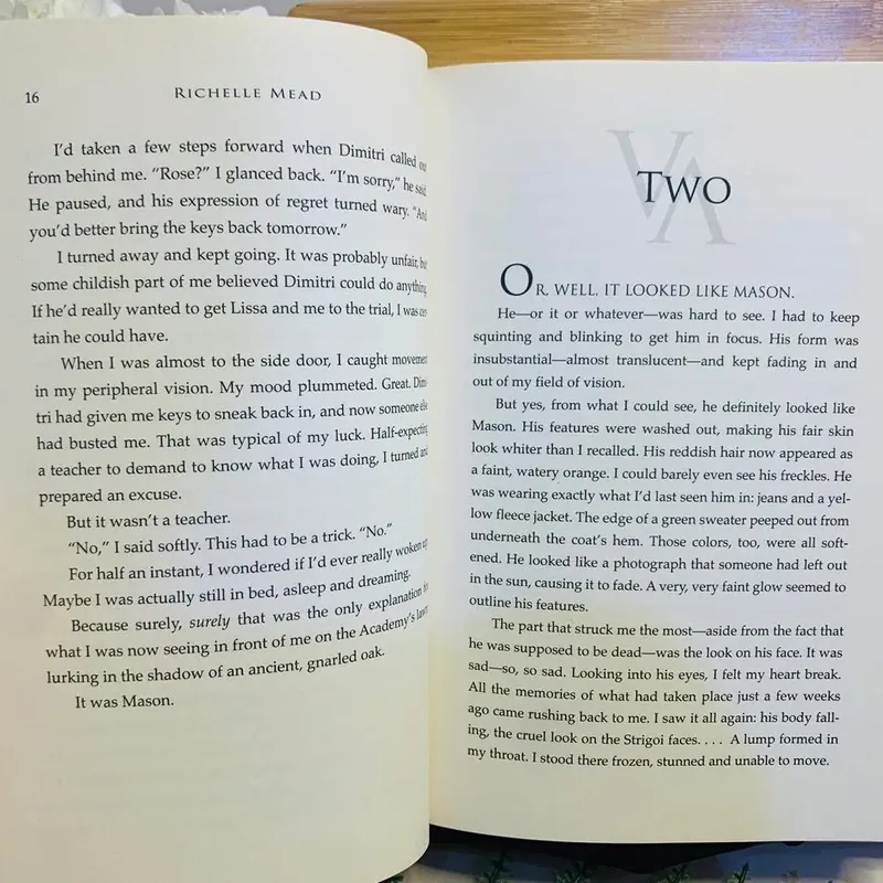 [Sách tiếng Anh 2hand] Like new 90% - Shadow Kiss - A Vampire Academy Novel 590280