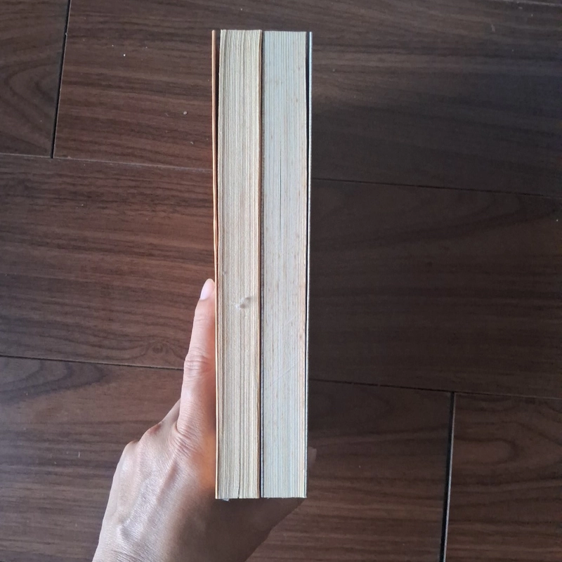 Kí ức vụn (2 tập)  - nguyễn quang lập 523187