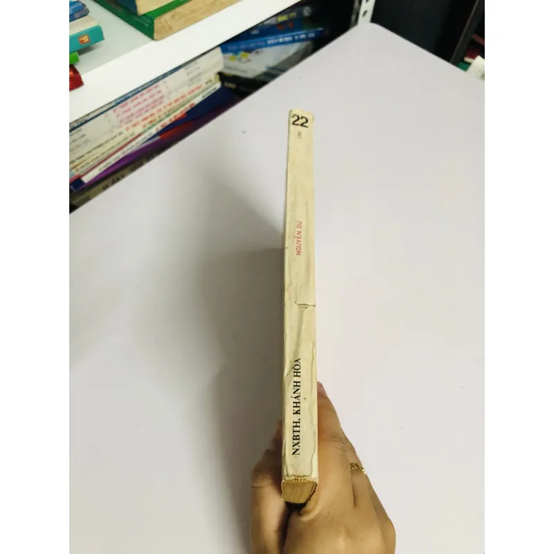 📚 PHÊ BÌNH – BÌNH LUẬN VĂN HỌC NGUYỄN DU 603451