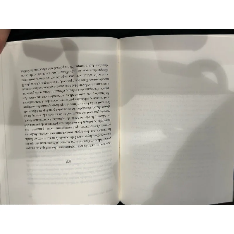 Terre des Oublis - Duong Thu Huong 660003