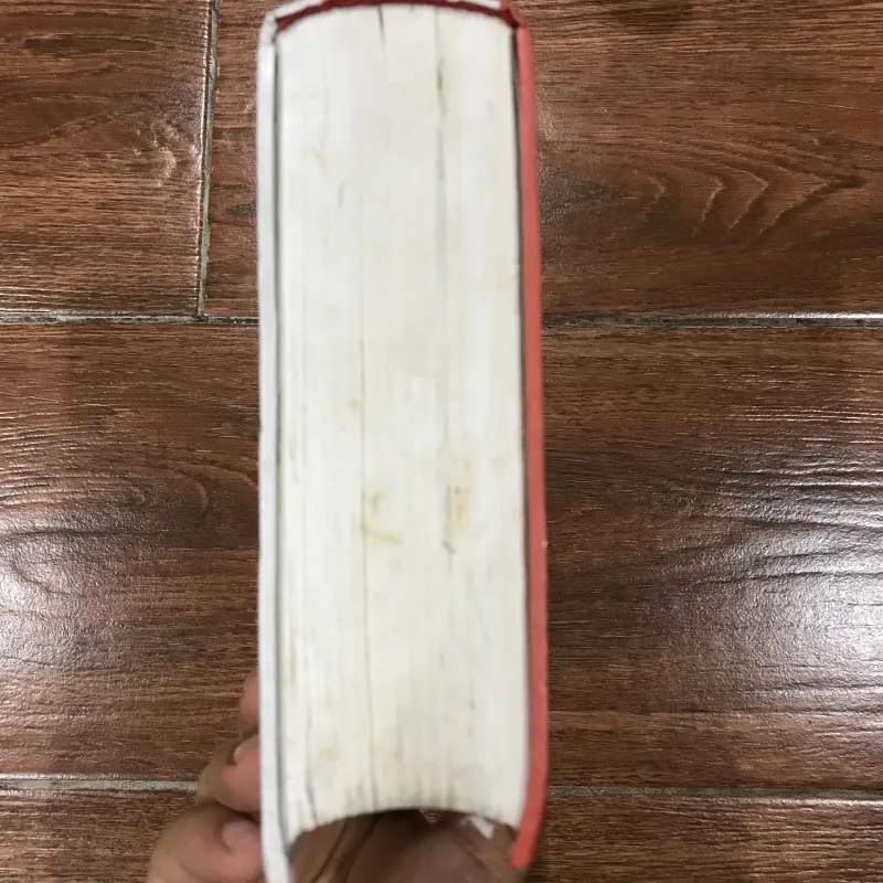 Chu Dịch Dịch Chú - Hoàng Thọ Kì - Trương Thiện Văn  (10) 993106