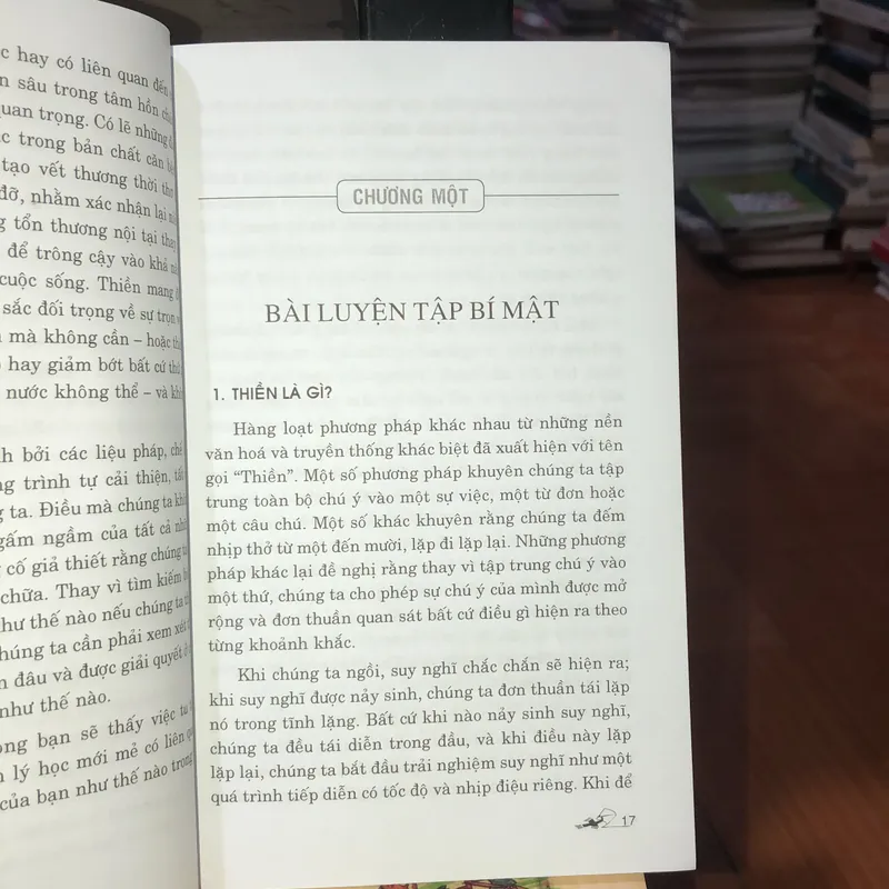 Ngừng săn đuổi hạnh phúc - Barry Magid 577561