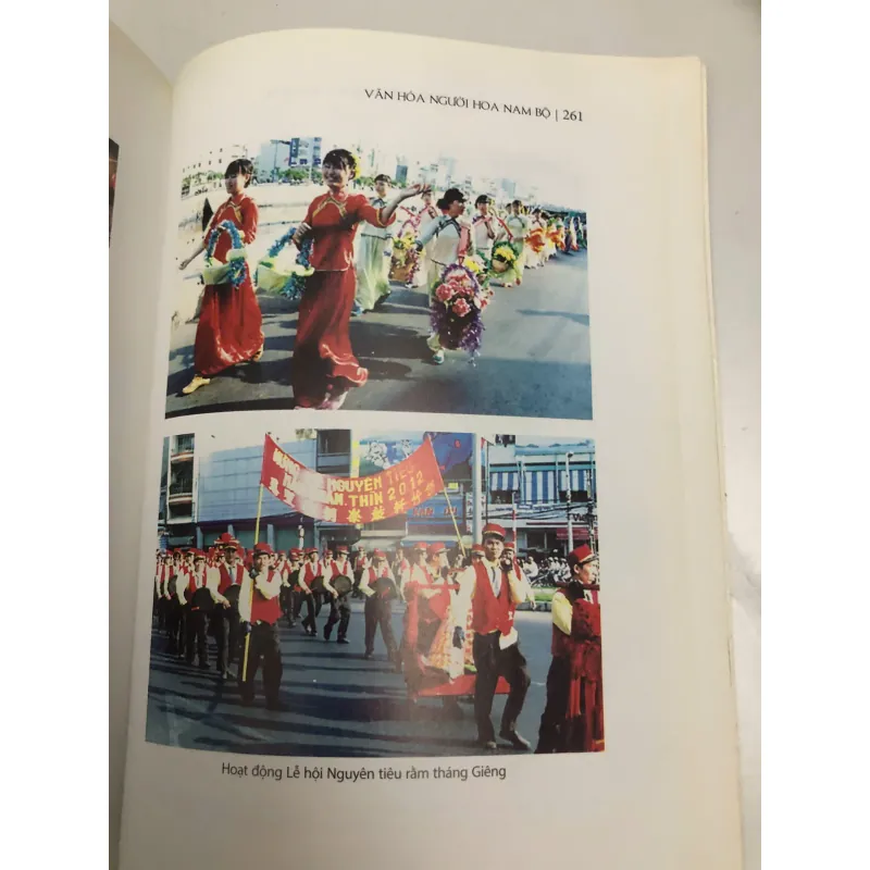 Văn hóa người Hoa Nam Bộ 597492