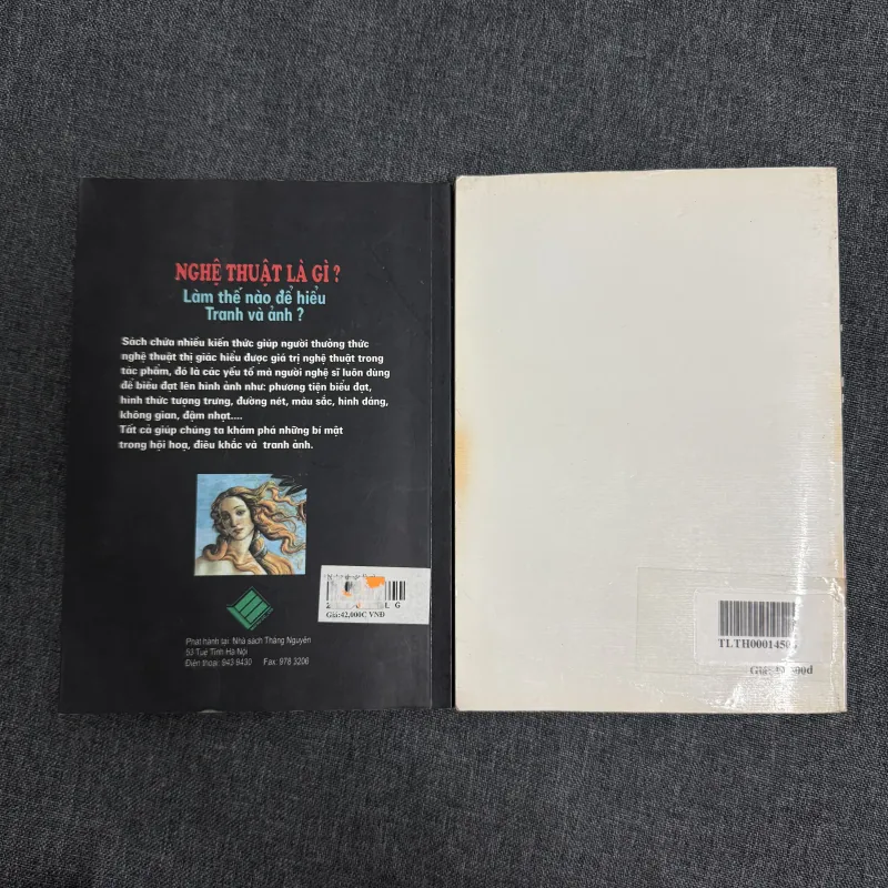 Nghệ thuật là gì? (Làm thế nào để hiểu tranh và ảnh?); Nghệ thuật học 779322