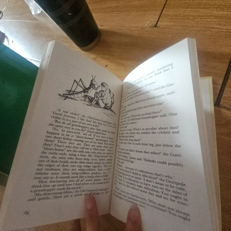 The best of roald dahl James and The giant peach (bìa cứng) Giá 30k  603950