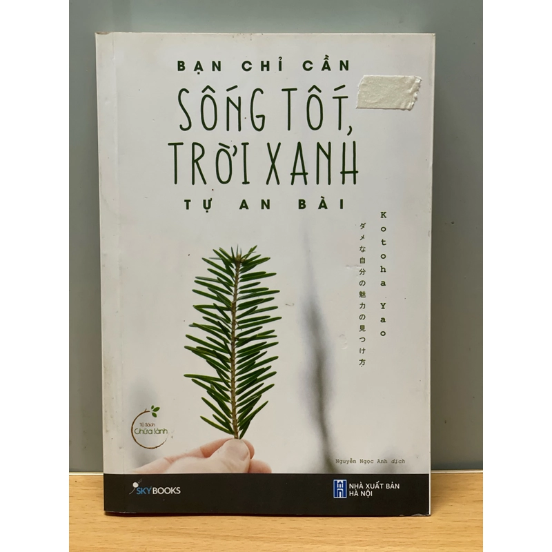 Sống tốt trời xanh tự an bài 504337