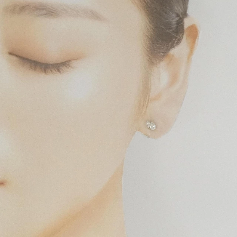 PT900 Bông tai kim cương 0.54CT - Hàng hiệu Chính hãng 870914