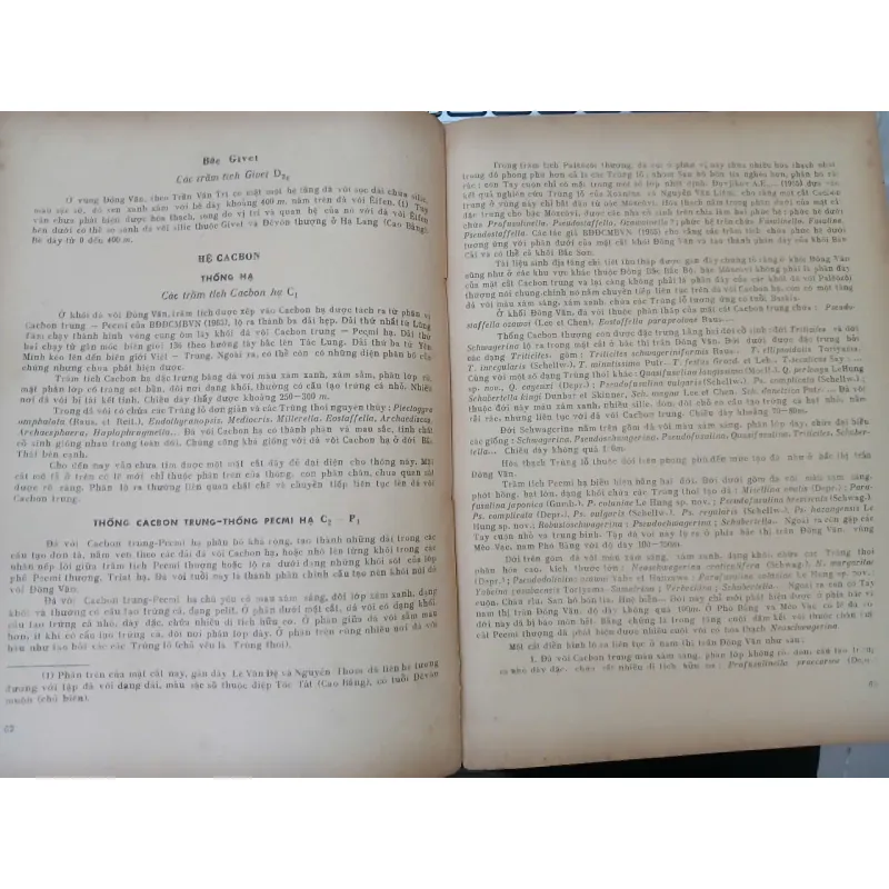 ĐỊA CHẤT VIỆT NAM PHẦN MIỀN BẮC 687503