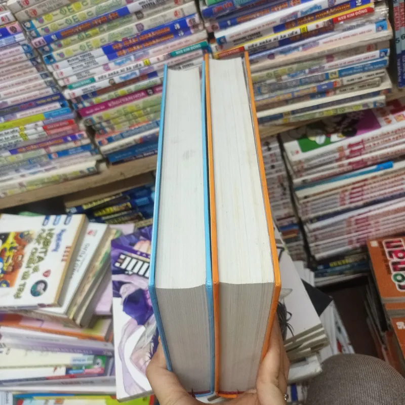 Kinh Tế Học 2 tập- Paula A Samuelson Wiliam D. Nordhalls 696606