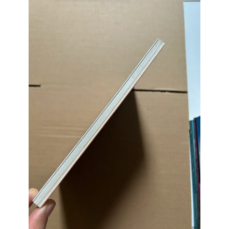 Câu chuyện kỳ tích về khách sạn ấm cúng nhất 1042077