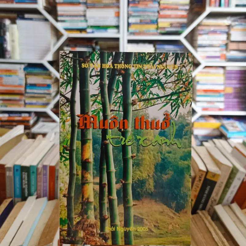 Muôn thuở tre xanh 🌻 564972