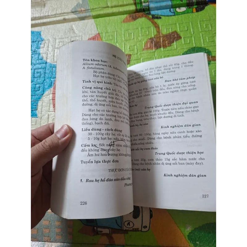 Ẩm thực liệu pháp: Thực đơn bồi bổ sức khỏe 974443