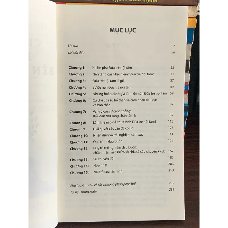 Chữa lành đứa trẻ bên trong bạn – Charles Whitfield 561479