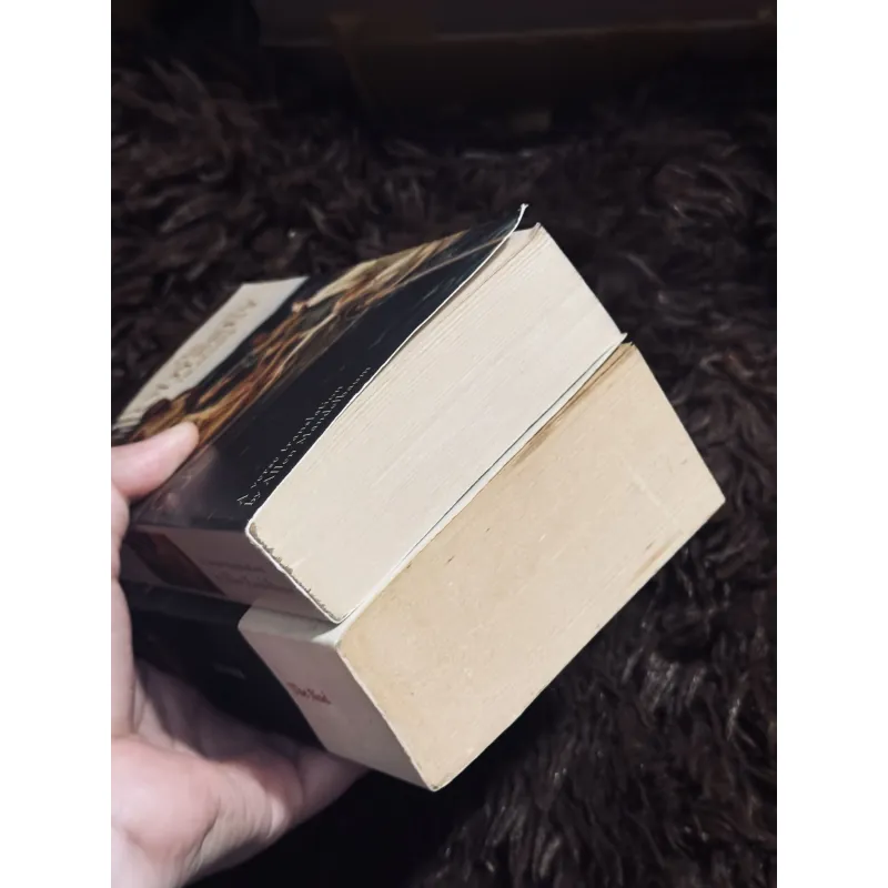 The Odyssey + The Iliad  996795