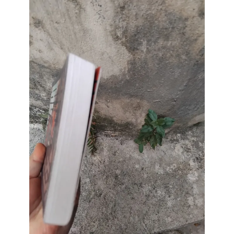 Chuyện tình giai nhân của Trương Ái Linh  1006725