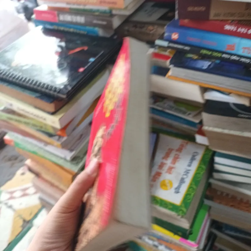 Người Trung Quốc Quốc Tự Trào - Trương Bình Trị - Dương Cảnh Long 1021625