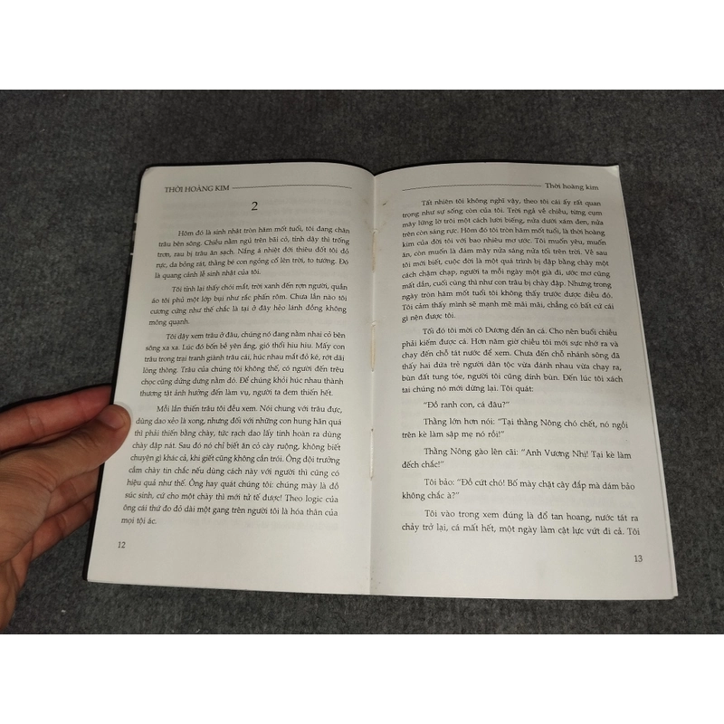 THỜI HOÀNG KIM - VƯƠNG TIỂU BA TUYỂN TẬP 469896