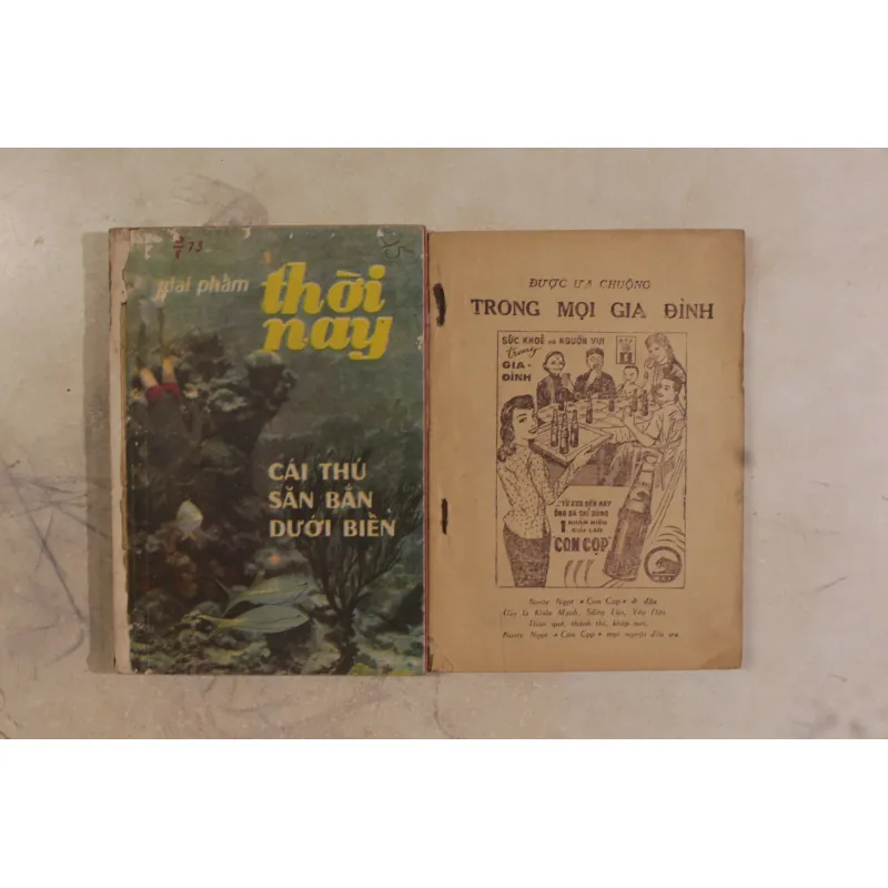 Tạp chí Thời Nay 20 số 971807