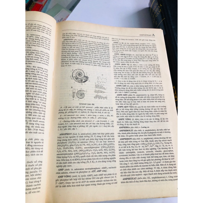 📚 BỘ 2 TẬP – TỪ ĐIỂN BÁCH KHOA VIỆT NAM 547490