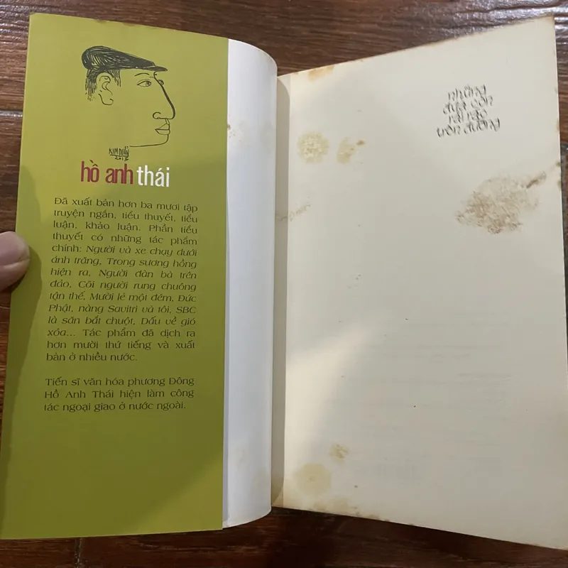 Những đứa con rải rác trên đường - Hồ Anh Thái 591842