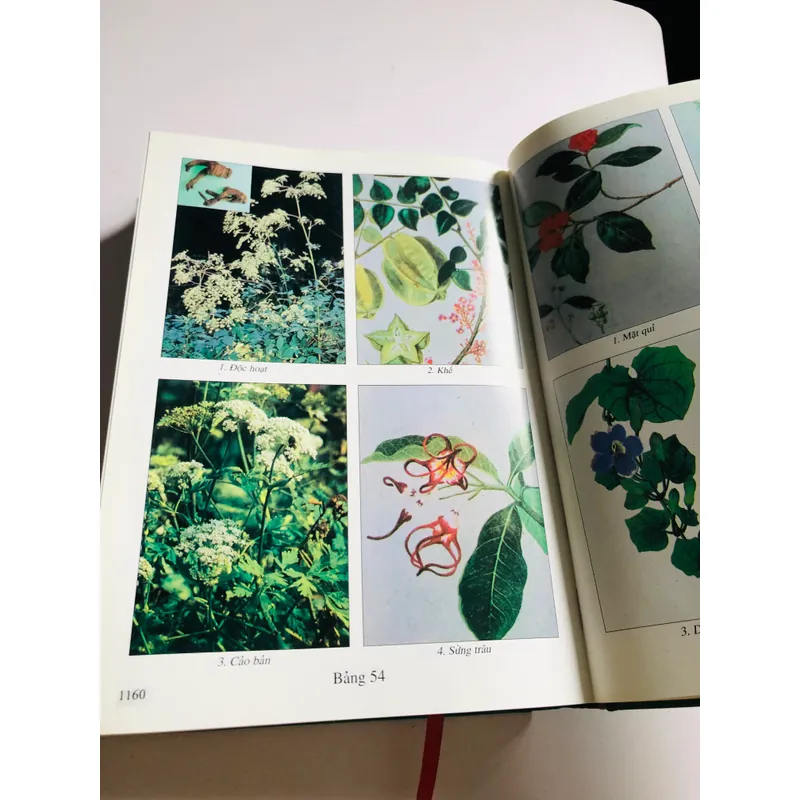 1. 📚 NHỮNG CÂY THUỐC VÀ VỊ THUỐC VIỆT NAM – Đỗ Tất Lợi 557996
