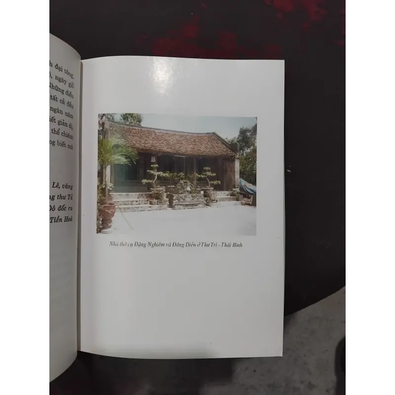 Đặng tộc đại tông phả ( phả chi trưởng họ Đặng )  981584