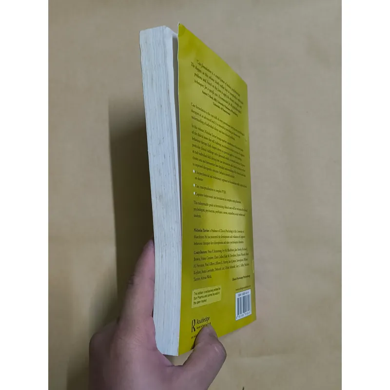 Case Formulation in Cognitive Behaviour Therapy 973820