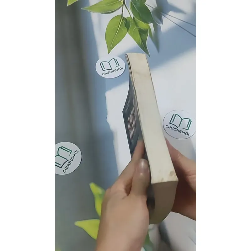 Con rể tỉnh trưởng - Phương Vỹ 695009