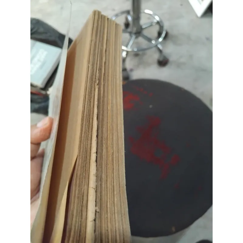 Tử Siêu y thoại  1031058